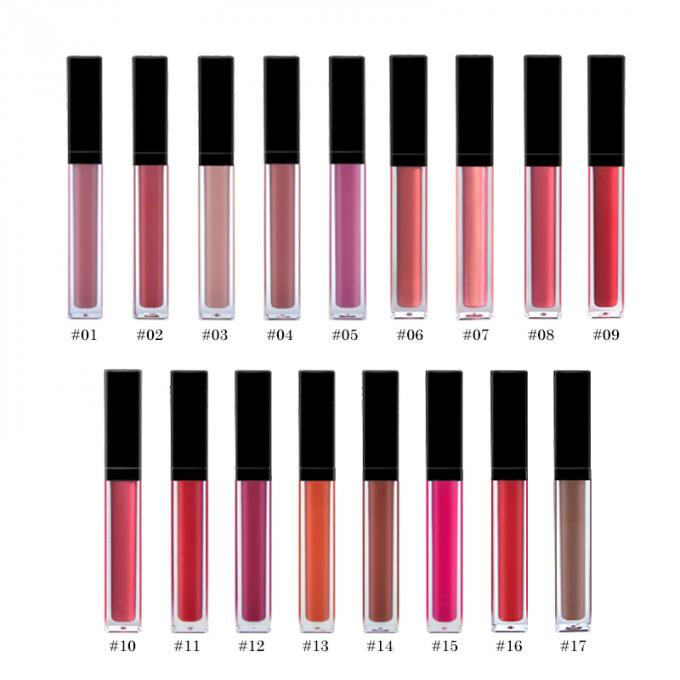 17 prodotti di bellezza del labbro di colori che idratano approvazione impermeabile lucida di Lipgloss MSDS